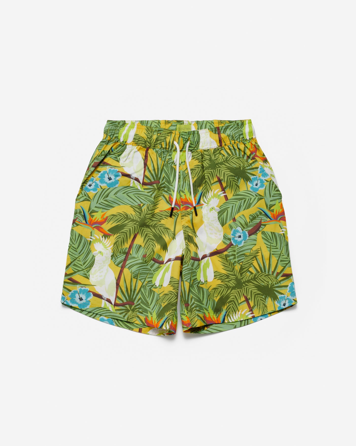 Cockatoos Print Shorts