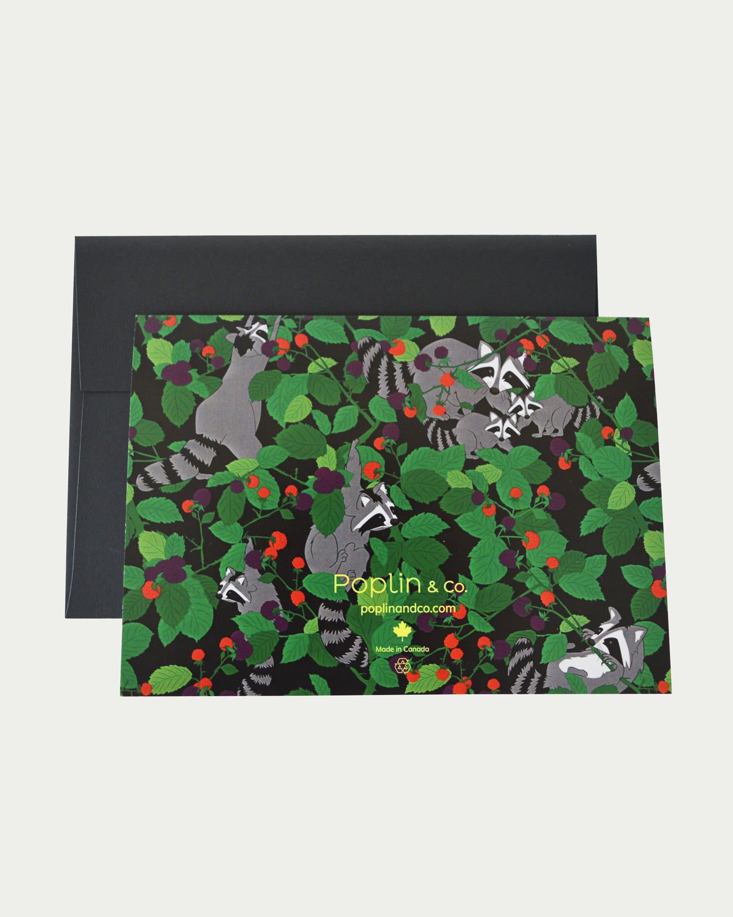 Mischievous Raccoons Greeting Card Three Pack