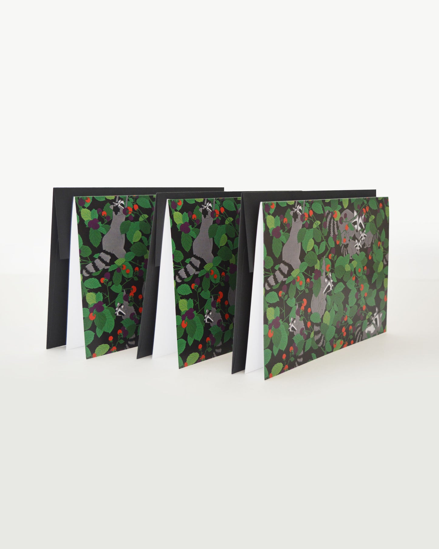 Mischievous Raccoons Greeting Card Three Pack