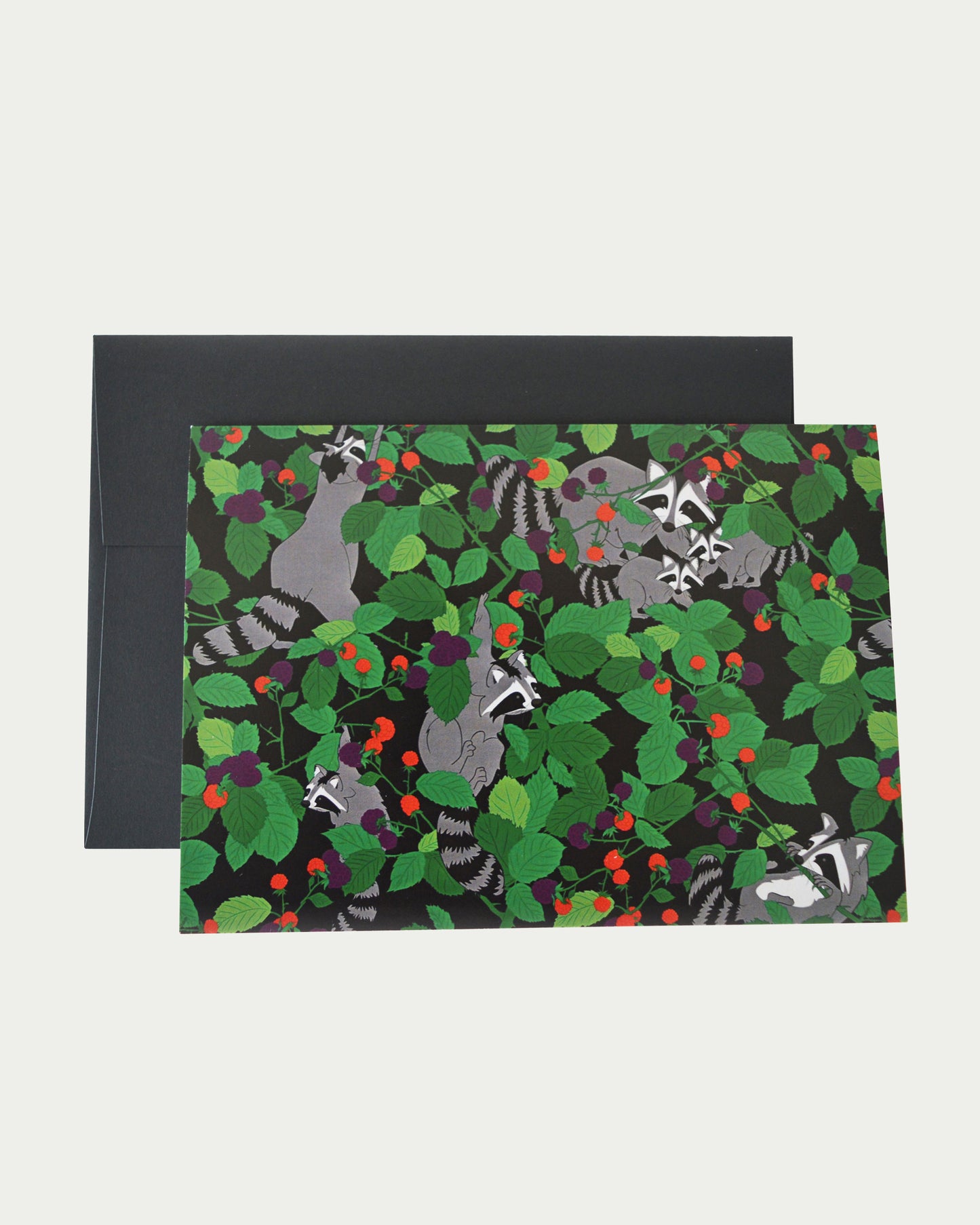 Mischievous Raccoons Greeting Card Three Pack