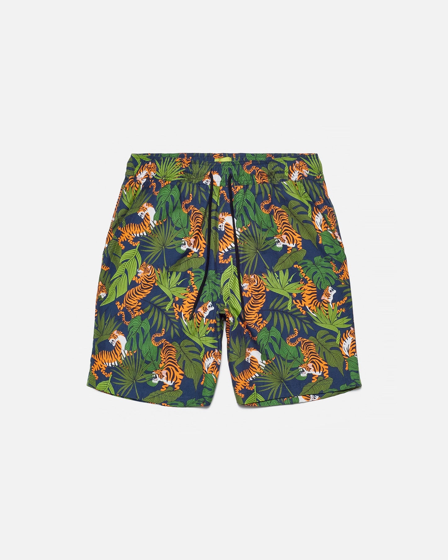 Wild Tigers Set