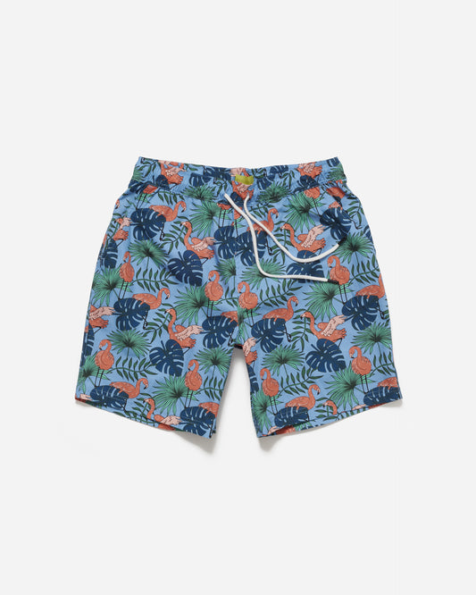 Flamingos Print Shorts