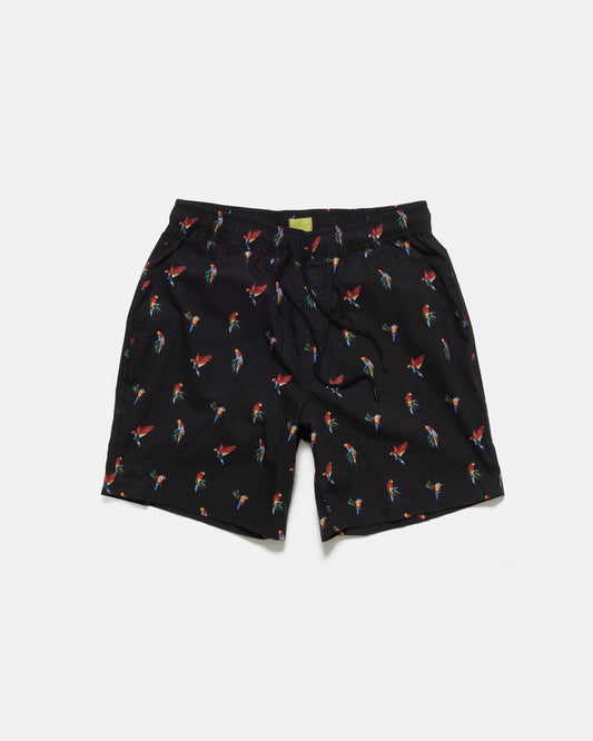 Micro Parrots Print Shorts